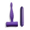 You Love Me Share Me Vibrator & Butt Plug Set in purple