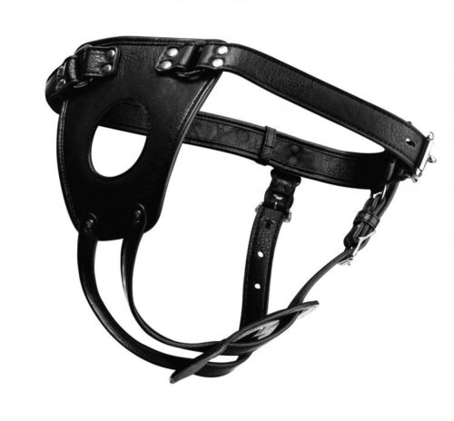Black leather harness with adjustable straps