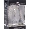 Clear hollow anal plug in packaging