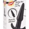 Frisky Thrilling Noir Smooth Vibrating Anal Plug packaging, showcasing the product and fe