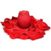 Bloomgasm Mystic Rose Sucking & Vibrating Silicone - Rose