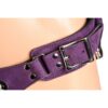 ah143-purple-11jpeg Strap U Bodice Deluxe Leather Corset Harness - Up to 45inch Waist
