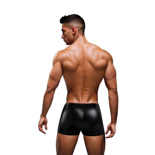 Envy Snap Down Boxer Brief - Black