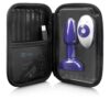 Purple pleasure device and remote inside a zippered case