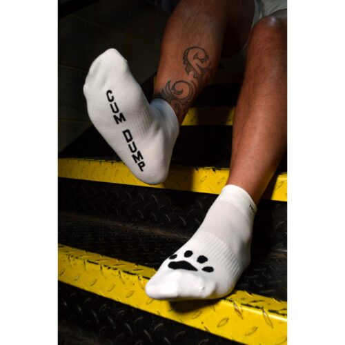 Feet on stairs wearing socks with 'CUM DUMP' and paw print
