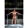 dsc2074_2jpg Meyer Marketing Original Edition Jockstrap