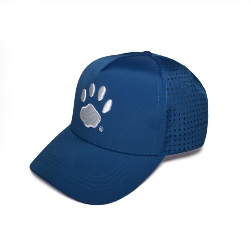 Blue cap with a silver paw print logo