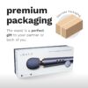 Le Wand Petite Rechargeable Wand Vibrator Massager in premium packaging