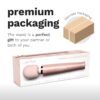 Le Wand Powerful Plug-In Vibrating Wand Massager, displayed in premium packaging
