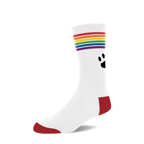 White socks with rainbow stripes and a paw print