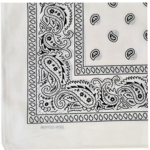 Black and white paisley patterned fabric