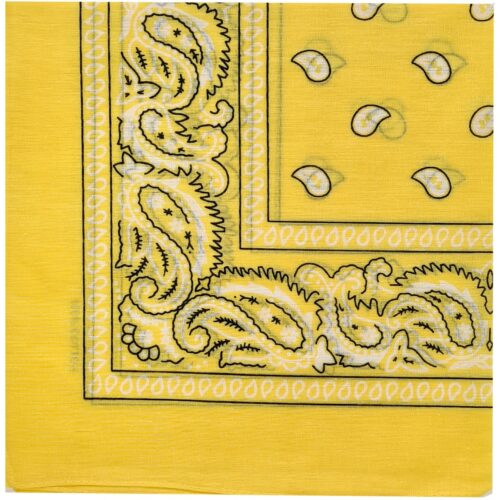 Yellow fabric with paisley border designs
