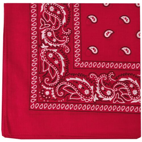 Red bandana with paisley and floral patterns