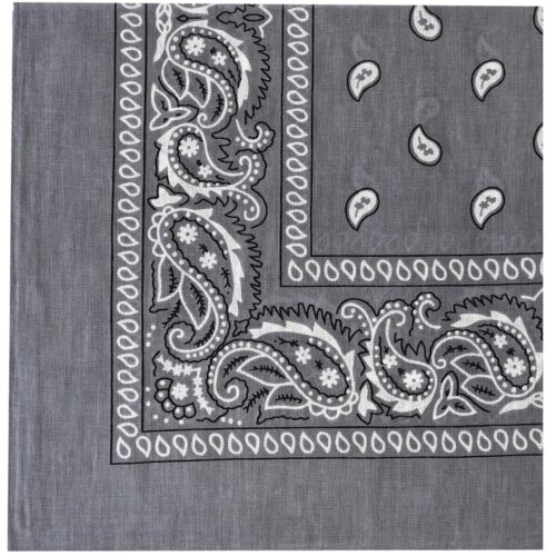 Decorative gray fabric with paisley designs