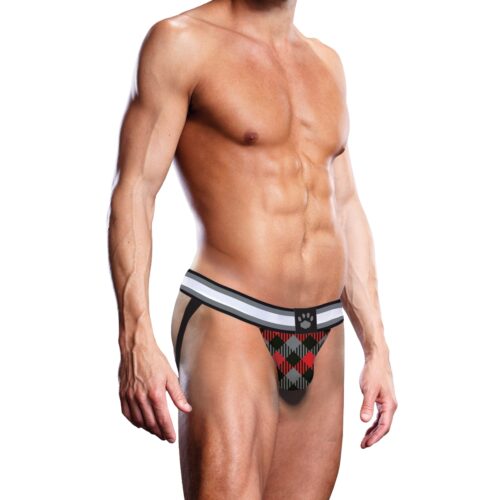 Muscular man in a tartan thong