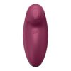 Satisfyer Tap & Climax 2 Vibrator