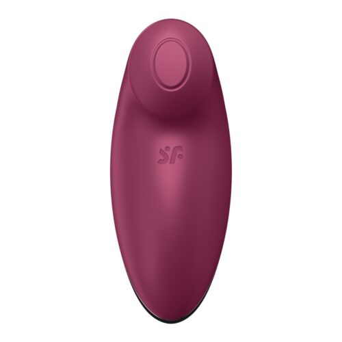Satisfyer Tap & Climax 2 Vibrator