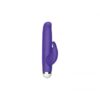 The Rabbit Company The Mini Rabbit Vibrator