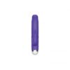 The Rabbit Company The Mini Rabbit Vibrator