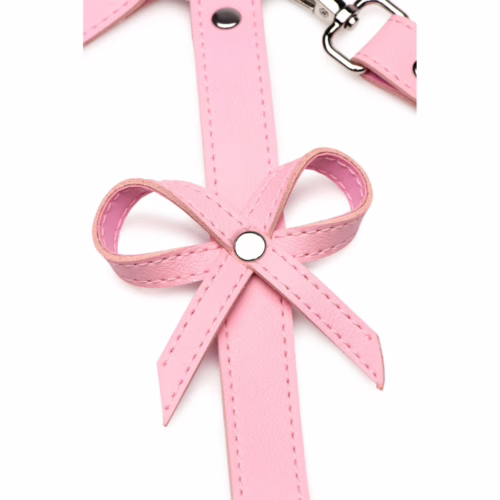 Close-up of a pink bondage harness with bows