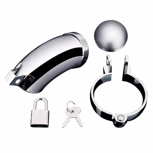 Blue Line Total Submission Cock Cage - Silver, One Size, includes cage, ring, padlock, an