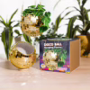 Add a touch of fun to your space with this unique gold disco ball hanging planter. Gold disco ball hanging planter with plant, alongside its colorful packaging