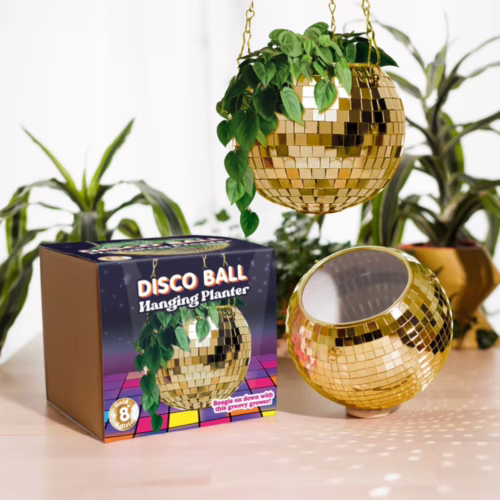 Add a touch of fun to your space with this gold disco ball hanging planter! Gold disco ball hanging planter with plants, displayed with its box