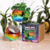 Add a pop of color to your home with this playful disco ball hanging planter! Disco ball hanging planter in rainbow colors, with plant and packaging on display