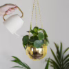 Add a touch of glam to your indoor garden with this disco ball hanging planter. Gold disco ball hanging planter with green plants