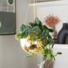 Add a touch of glamour to your home with this gold disco ball hanging planter. Gold disco ball hanging planter with green plants