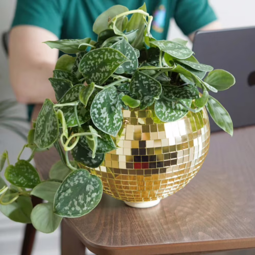 Add a touch of fun to your space with this unique disco ball planter. Gold disco ball hanging planter with green plant leaves