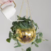 Add a touch of glamour to your plants with this gold disco ball hanging planter. Gold disco ball hanging planter with green leaves