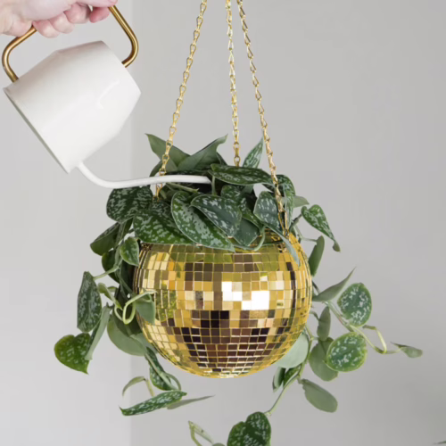 Add a touch of glamour to your plants with this gold disco ball hanging planter. Gold disco ball hanging planter with green leaves