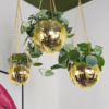 Add a touch of fun and greenery to your home with these disco ball hanging planters. Gold disco ball hanging planters with plants