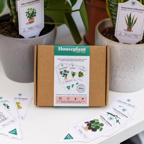 Keep your houseplants thriving with these handy care tags, available at The Loving Company. Houseplant Care Tags, displayed in a box with care tags for different plants