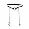 Fetish Fantasy Series Limited Edition O-Ring Gag & Nipple Clamps - Black