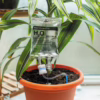 Innovative plant care with the 'Plant Life Support' system, available at The Loving Company. A plant with a bag labeled 'Plant Life Support' providing water