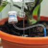 Innovative plant life support system combining technology with nature. Plant life support system with a clear tube and measuring device