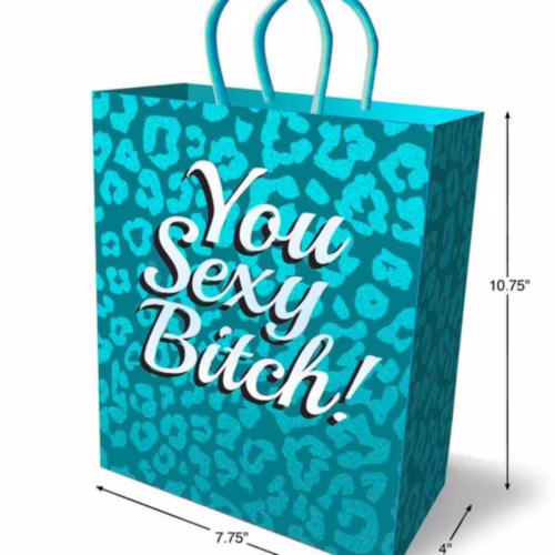 Make a bold statement with this playful gift bag, perfect for any fun celebration! Bright turquoise gift bag with leopard print and text 'You Sexy Bitch!'