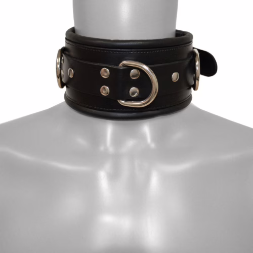 Prowler Red Leather Lockable Collar in black, featuring silver hardware