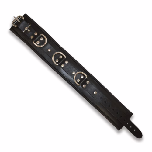Prowler Red Leather Lockable Collar in black with D-rings