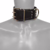 Black leather collar with metal buckle