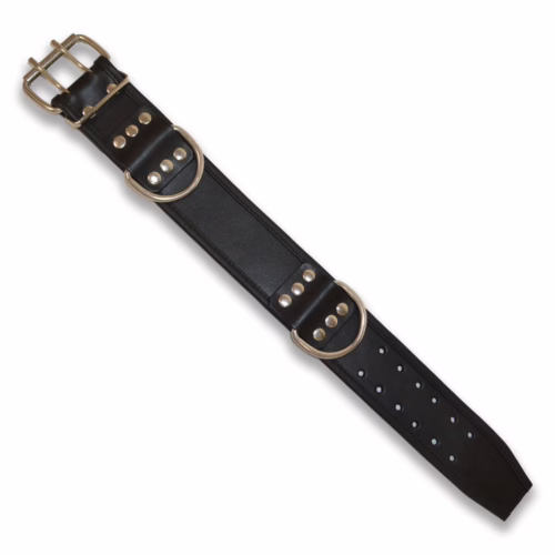 Black leather collar with metal studs and rings