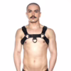 Prowler Red Noir Harness - Black