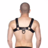 Prowler Red Noir Harness in black, worn by a person from the back