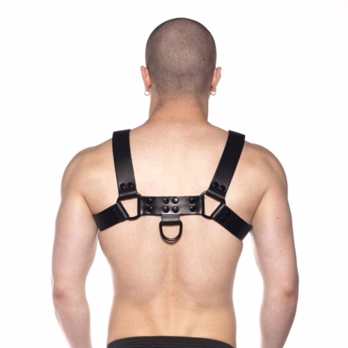 Prowler Red Noir Harness in black, worn by a person from the back