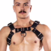 A model wearing a black Prowler Red Butch Harness, showcasing a muscular appearance
