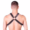 Back view of a person wearing a Prowler Red Ballistic Harness in black and silver