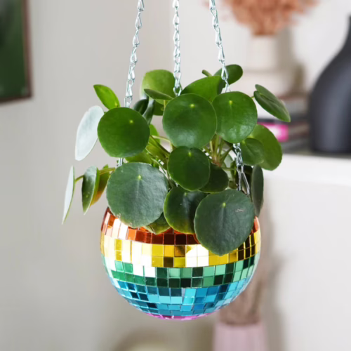 Brighten up your home with this whimsical disco ball hanging planter! Disco ball hanging planter with green leaves