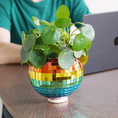 Elevate your decor with this fun Rainbow Disco Ball Hanging Planter. Rainbow disco ball planter with green leaves